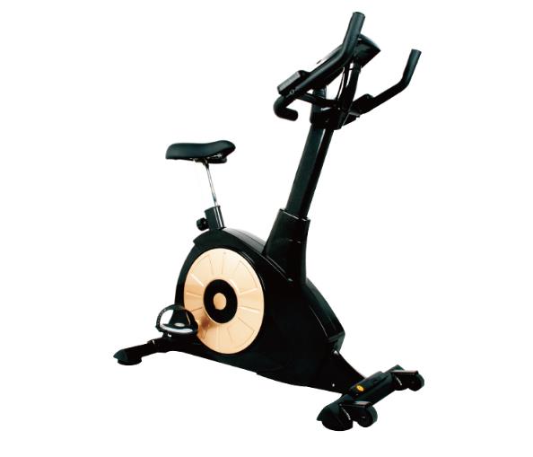 豪華磁控健身車